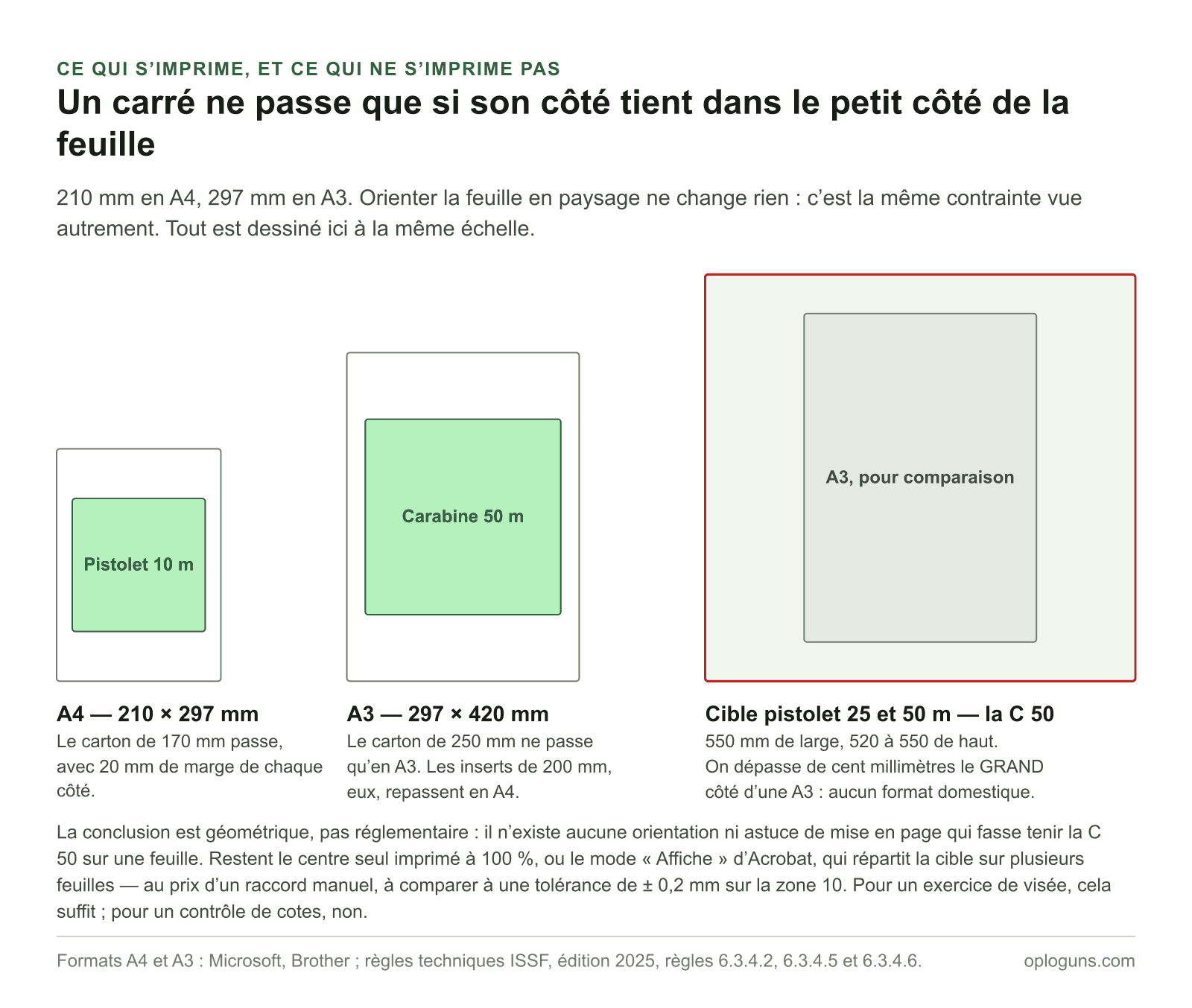 À la même échelle, le carton de cible pistolet 10 m de 170 mm tient dans une feuille A4 de 210 × 297 mm, celui de carabine 50 m de 250 mm impose une A3, et la cible pistolet 25 et 50 m de 550 × 520 mm dépasse une A3 de cent millimètres sur son grand côté.